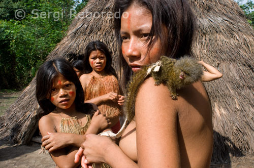 Poblat yagua. Retrat d'algunes de les adolescents que viuen en el poblat al costat de la seva mascota, un petit titi pigmeu (el mico més petit del món). La majoria de la gent gran només parlen la llengua yagua, però les noves generacions ja són bilingües, gràcies a les escoles que s'han creat per als indígenes i en les quals s'imparteixen les dues llengües.