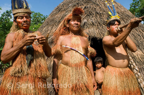 Yagua town. Blowguns, blowgun calls are greatly elongated, hand-crafted and are used for components of each village cazar.Los inhabit the same community and oval cabin. The villages are independent and governed by a chief and council. Each man has a wife and marry her father works for a number of years in exchange for the wife.