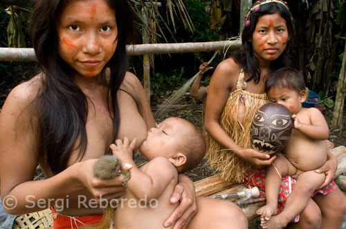 Poblado yagua. Dos mujeres dan de mamar a sus hijos. Una de ellas posa junto a su mascota, un pequeño titi pigmeo (el mono más pequeño del mundo). Los yaguas viven en el norte de Perú, pescando y plantando sólo ocasionalmente ya que la base fundamental de su subsistencia es la caza, que aún se practica de forma tradicional, con el mortal y venenoso curare. También se ha introducido en las comunidades yaguas el comercio, por lo que los abalorios, hamacas y útiles de caza se elaboran para su intercambio por comida.