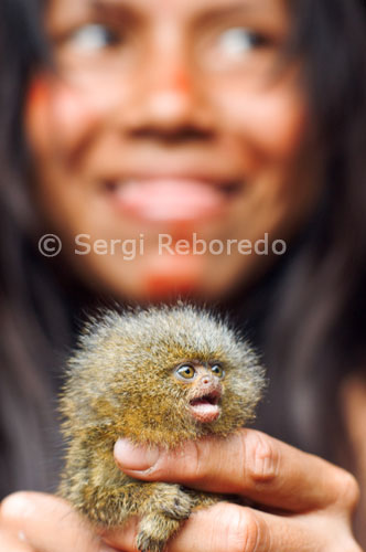 Poblat yagua. Mascota d'una de les nenes adolescents Yaguas, un petit titi pigmeu (el mico més petit del món). Els nivells d'escolaritat assolits són baixos: 30% no compta amb cap instrucció i només 7% va accedir a estudis secundaris.