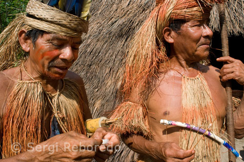 Yagua town. Blowguns, blowgun calls are greatly elongated, hand-crafted and used for hunting. A prepared yagua darts, which stored in a folded palm leaf, and are made of sharp stones and kapok fiber. During the seventh decade, there was a further regrouping and settling of palm fronds in "indigenous communities" as a result of new state legislation. Thus began a slow integration of palm fronds in the regional economy in the process of peasantization. Around the same time, however, many were drawn into the Messianic movement of Santa Cruz.