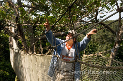 Amner The guide walks through the Amazon Canopy Walkway, one of the longest suspension bridges in the world, which will allow the primary forest animals from a height of 37 meters and is suspended over the 14 tallest trees in the area. lli where matter and the truth are redundantes.En the road to the Gran Sabana, on the Cuyuni river, an old iron bridge pendant. Local guides proudly present it to tourists as the design of Gustave Eiffel. According to legend, once a cargo ship ran aground in the delta and the prefabricated bridge that had other destinations, it was finally finished, coming to arm where least expected. Where can we take the paths of this legend ...? Gustave Eiffel, born in Dijon in 1832, was an expert on bridges. The Eiffel Tower itself, the top of their searches, it is not structurally "more than a pile of bridge led to the madness of greatness: a bridge that does not hold anything." The bridges were the great specialty of the house "factory in the outskirts of Paris made bridges for almost all the rivers of France, to the Garonne, in the Lot, the Dordogne, the Marne, the Cher, Indre, the Truyère the evenings, the Saone, Seine, all made scientifically calculated to tenths of a millimeter. But it was also normal for Eiffel to build bridges in places far from their homeland unspeakably. Names such as Cochin, Arica, Manila and Saigon, were on regular contracts and purchase orders the company ... Cuyuni Yuruari, Essequibo, Guyana or Venezuela, why would not having sounded especially more sobrecogedores.Ninguna legend should, as implausible as it seems, be disregarded by our imagination. If it is not really anything else, at least we learned from this that in Guyana round the ghost of Eiffel. Which already seem to be enough. Now comes the Carnival and am sure many of our readers will fly to El Callao, we would suggest, therefore, a stop on the road. And going to pass this bridge, which stick out and search the old prefabricated iron ... to find the company stamp. Remember: the words we seek are: SOCIETE DE CONSTRUCTION LEVALLOIS-PERRET, or simplementeGUSTAVE EIFFEL ET CIE.A us we can only venture how history.1 could have gone. First "Lelièvre was his most trusted man. A year after landing in the Bay of Callao, wrote informing his desire to stay and settle in Peru for at least five years. The market for prefabricated bridges were opened Pereira brothers with their businesses in the area, looked immense. In addition, Chile and Mexico needed spring and churches. "And that still does not come into my calculations," he said, "orders that come from Bolivia, Brazil and French Guiana. " Cayenne could be the seat of operations. The company's South American adventure seemed assured. Eiffel sighed save the bumps in the war 1870.Las Lelièvre figures were written in tiny numbers, but promising. Needless to say, in Levallois-Perret immediately began to make and packed with hundreds of structures renewed strength of iron. Full steam ahead ... because soon they would by boat. First, across the ocean, and then the Essequibo, the Orinoco, the Amazon.