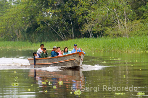 Explorama few tourists on a boat to observe the freshwater pink dolphins in one of the tributaries of the Amazon to Iquitos about 40 miles near the town of Indiana. It seems that the luxury travel in South America is gaining more followers. If I commented a few days ago a new luxury train in Brazil, today I find a ship-class hotel that ply the waters of the Amazon River in Perú.MV Aqua is the name of the boat with 12 suites estate of about 240 square meters of which 4 have a privileged view of 180 degrees. All are carefully decorated with attention to detail as possible. It also has a restaurant by chef Pedro Miguel Schiaffino Lima and if the consumerist urge attacks in the Amazon, also has a boutique bordo.El penetrating boat from Iquitos in the Peruvian Amazon. Enters the Pacaya-Samiria, the largest of Peru and a jewel of biological richness that only a lucky few travelers have had the opportunity to conocer.El price of 1,200 euros per person for a 3 night itinerary . Interesting for those who can afford to be an unusual destination for luxury tourism.