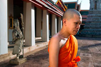 Bangkok. Buddhist monk inside Wat Pho Temple, Bangkok, Thailand. Wat Pho (the Temple of the Reclining Buddha), or Wat Phra Chetuphon, is located behind the Temple of the Emerald Buddha and a must-do for any first-time visitor in Bangkok. It's one of the largest temple complexes in the city and famed for its giant reclining Buddha that measures 46 metres long and is covered in gold leaf. It’s an easy ten minute walk between here and the Grand Palace, and we recommend coming to Wat Pho second, because even though the golden Buddha here is just as popular many people don’t take the time to wander around the rest of the complex so the experience tends to be far more relaxing. 