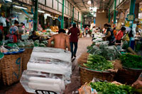 Bangkok. Vendedor de hielo. Los productos agrícolas como Mercado Central de Wang Burapha Phirom. Calle Ban Mo. Bangkok. Asia. Pak Khlong Talat (Mercado de las Flores). Bangkok. Pak Khlong Talat es un mercado en Bangkok conocida por sus flores al por mayor. Sin embargo, poco se ha escrito acerca de los volúmenes de frutas y verduras frescas en el que Pak Khlong Talat fue una vez establecida durante su reinado como el mayor mercado de productos a granel de Bangkok. Durante una visita temprana mañana de domingo, exploramos una de las más impresionantes muestras de productos frescos en los que me he encontrado. El Pak Khlong Talat es un mercado de productos al por mayor, es evidente por sus exhibiciones masivas de frutas y verduras.