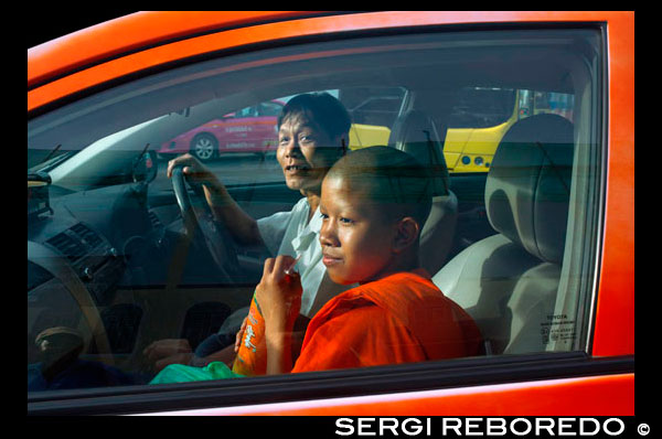 Young buddhist monk inside a taxi. The Sangha World in Thailand consists of about 200,000 monks and 85,000 novices at most times of the year. However, these numbers increase during the Buddhist ‘lent’ to 300,000 and 100,000 novices. Young boys may become novices at any age, but a man cannot become a monk until he reaches the age of twenty. He can then remain a monk for as long as he wishes, even for just one day. Three months is more usual, although some choose to remain in monkhood for the rest of their lives. All monks must follow 227 strict precepts or rules of conduct, many of which concern his relations with members of the opposite sex. When a monk is ordained he is said to be reborn into a new life and the past no longer counts - not even if he was married. Women are, of course, forbidden to touch monks and should not even stay alone in the same room as a monk. If a woman wishes to offer an object to a monk, it must pass through a third medium, such as a piece of cloth. In fact, monks always carry a piece of cloth for this purpose. The monk will lay the cloth on the ground or table, holding on to one end. The woman places the offering on the cloth and the monk then draws it away. Thai monks can be seen wearing various shades of robes, from dark brown to the familiar brilliant saffron. There are no rules, but the darker shades are preferred by monks in the Dharmmayuth sect and Thu-dong or forest monks.
