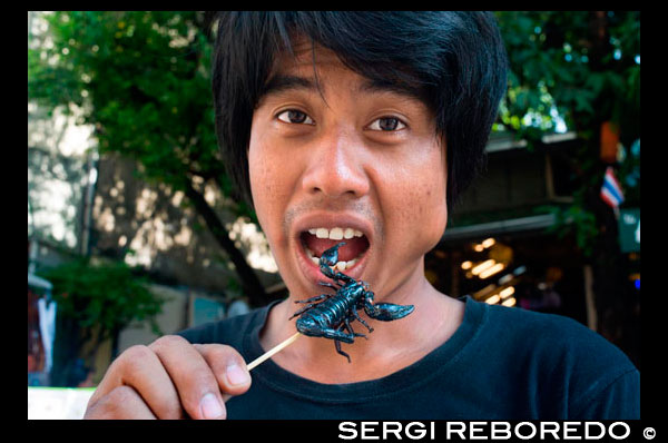 khao san road, insect scorpion street stall. Food stall. Bangkok. Khaosan Road or Khao San Road is a short street in central Bangkok, Thailand. It is in the Banglamphu area of (Phra Nakhon district) about 1 kilometre (0.62 mi) north of the Grand Palace and Wat Phra Kaew. "Khaosan" translates as "milled rice", a reminder that in former times the street was a major Bangkok rice market. In the last 20 years, however, Khaosan Road has developed into a world famous "backpacker ghetto". It offers cheap accommodation, ranging from "mattress in a box" style hotels to reasonably priced 3-star hotels. In an essay on the backpacker culture of Khaosan Road, Susan Orlean called it "the place to disappear". It is also a base of travel: coaches leave daily for all major tourist destinations in Thailand, from Chiang Mai in the north to Ko Pha Ngan in the south, and there are many relatively inexpensive travel agents who can arrange visas and transportation to the neighbouring countries of Cambodia, Laos, Malaysia, and Vietnam. Khaosan shops sell handcrafts, paintings, clothes, local fruits, pirated CDs, DVDs, a wide range of fake IDs, used books, plus many useful backpacker items. During late evening, the streets turn into bars and music is played, food hawkers sell barbecued insects, exotic snacks for tourists, and there are also locals flogging ping pong shows. There are several pubs and bars where backpackers meet to discuss their travels. The area is internationally known as a center of dancing, partying, and just prior to the traditional Thai New Year (Songkran festival) of 13-15 April, water splashing that usually turns into a huge water fight. One Thai writer has described Khaosan as "...a short road that has the longest dream in the world".[2] A Buddhist temple under royal patronage, the centuries-old Wat Chana Songkram, is directly opposite Khaosan Road to the west, while the area to the northwest contains an Islamic community and several small mosques.