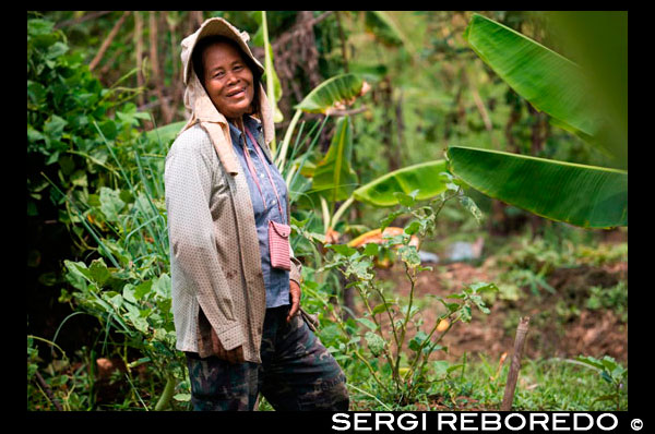 Woman farmer portrait. Ko Kret (also Koh Kred) is an island in the Chao Phraya River, 20 km north of Bangkok, Thailand. The island dates only to 1722, when a canal was constructed as a shortcut to bypass a bend in the Om Kret branch of the Chao Phraya river. As the canal was widened several times, the section cut off eventually became a separate island. The island continues to serve as a refuge to the Mon tribes who dominated central Thailand between the 6th and 10th centuries and have retained a distinct identity in their version of Buddhism and, particularly at Ko. One way to reach Ko Kret is to take the once-weekly Chao Phraya Express, which leaves the Central Pier (BTS Saphan Taksin) every Sunday at 09:00 and visits a number of attractions before returning at 15:30. The cost of the cruise and guided tour is 300 baht (no lunch). Many other companies also offer similar tours, often just as a stop on a longer upriver trip to Ayutthaya. Independent travel to Ko Kret can be a little more challenging. The easiest option is to take public bus 166 from Victory Monument which travels all the way to the market in Pak Kret. From there, you have to walk about 500 metres (or take a moto/samlor) towards the river to the ferry pier, which is located behind Wat Sanam Neua. If you exit the bus before the U-Turn simply continue towards the river. On the left you will see the entrance to a fairly inconspicuous market. Enter this then follow the market as long as you can (i.e. stay with the shops). Eventually you will come out near to the Wat and the route will be very obvious.