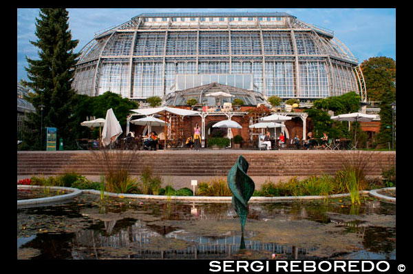 Botanical Garden Berlin, with more than 43 ha the greatest botanical garden in Europe. The main tropical greenhouse. The Berlin-Dahlem Botanical Garden and Botanical Museum (German: Botanischer Garten und Botanisches Museum Berlin-Dahlem) is a botanical garden in the German capital city of Berlin, with an area of 43 hectares and around 22,000 different plant species. The garden is located in the Dahlem neighborhood of the borough of Steglitz-Zehlendorf. It was constructed between 1897 and 1910, under the guidance of architect Adolf Engler, in order to present exotic plants returned from German colonies. Today, the garden is part of the Free University of Berlin. The Botanical Museum (Botanisches Museum), with a large herbarium (Herbarium Berolinense) and a large scientific library, is attached to the garden. The complex consists of several buildings and glass-houses, such as the Cactus Pavilion and the Pavilion Victoria (which features a collection of orchids, carnivorous plants and giant white water lily Victoria-Seerosen). The total area of all glass-houses is 6,000 m². The garden's open-air areas, sorted by geographical origin, have a total area of 13 hectares. The garden's arboretum is 14 hectares. The best-known part of the garden is the Great Pavilion (Das Große Tropenhaus). The temperature inside is maintained at 30 °C and air humidity is kept high. Among the many tropical plants it hosts a giant bamboo. In the year 1573, during the time of elector Johann Georg, the first considerable plant assemblage for the enlargement of the domestic stand occurred, because of the farm gardener Desiderius Corbianus at the fruits- and kitchen garden of the Berlin City Palace. Even if that word has not existed at that time, it was that the first „Botanic Garden“ in Berlin. The still existing pleasure garden has developed from it. In 1679 at the Potsdamer Street – in place of the present Heinrich-von-Kleist- park – a hop garden was laid out, which was used, as a purpose of the electoral brewery, as a fruits- and kitchen garden. Carl Ludwig Willdenow has reached, that the garden was assigned in 1809 the Berlin University, which developed worldwide to a recognized „Botanic Garden“ with a scientific character. First stimuli to move the Botanic Garden appeared in 1888, given because of the need, to expand the plantings and to set out an arboretum. Besides many of the old greenhouses would have needed a reconstruction. Added to the unfavourable impacts of the surroundings, which was in the meantime densely developed because of the cities Berlin and Schoeneberg; air pollution and a drawdown harmed the plants. Also the financial aspects of a move to the city center were of importance.