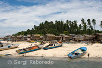 Fishing village on the island of Mabul. Mabul is arguably one of the riches single destinations for exotic small marine life anywhere in the world. Flamboyant cuttlefish, blue-ringed octopus, mimic octopus and bobtail squids are just some of the numerous types of cephalopods to be found on Mabul's reef. The sight of harlequin shrimp feeding on sea stars and boxer crabs waving their tiny anemone pompoms are just a small example of the endless species of crustaceans.