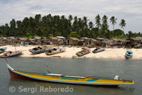 Barcas utilizadas por los habitantes de la isla de Mabul para la pesca. A esta isla acuden miles de submarinistas cada año al ser considerado como uno de los lugares más privilegiados del planeta por su diversidad de fondo marino.