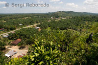 La selva de Borneo cada dia està més castigada, i el que abans era una selva primària va donant passos de gegant cap a plantacions de palmeres per a l'elaboració de l'oli de palma, utilitzat en el primer món com boicombustible. Els Anaven constitueixen una sèrie de tribus distribuïdes per les jungles de Borneo , vertebrades al voltant dels rius , que intenten mantenir un tipus de vida ancestral . La Jungla en aquesta zona és una de les més espesses del món , està constituïda per boscos tropicals plujosos que alberguen multitud d'espècies vegetals i animals , sent una de les més importants el Orangutan ( Pongo pygmaeus ) o Home de la Selva (del malai Orang Hutam ) que troba aquí un dels seus últims reductes mundials com a espècie en llibertat. La importància d'aquest simi de pèl vermellós i llargs braços que li serveixen perfectament per desplaçar-se pels arbres , lloc on passen la major part de temps, sent , d'entre els grans simis , el més arborícola , resideix en la seva notable intel · ligència , és un dels pocs animals que poden usar eines assíduament per proporcionar aliment , en la seva escassetat , ja que es troba en perill d' extinció, en la inestabilitat de les seves poblacions , ja que depenen en gran mesura de la conservació que es faci del seu hàbitat , els boscos tropicals plujosos , que com els de l'Amazones a Sud-amèrica , estan sent objecte de tala constant i indiscriminada , i en la captura il · legal per part de furtius per vendre'ls com a mascotes.