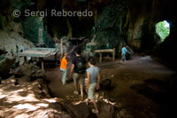 Interior de las cuevas de Gomantong. Borneo. Este de Sabah. Santi Torrent y Laura Molins.