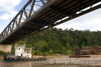 Ships laden with timber travel the waters of Sungai Kinabatangan. Sukau.