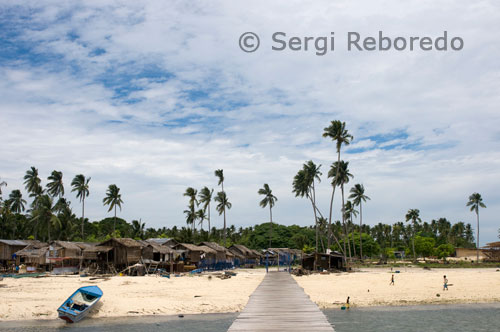 Gypsy village on Mabul Island near the island of Sipadan. Sidapan Island was declared a natural park and its beaches are the place for laying eggs of green turtles. Sidapan dives are known for its vertical and its abundant pelagic fauna. Sidapan Island is located in the northeast of Borneo in the Celebes Sea. Is an oceanic island, emerging from 600 m. deep. In some of the dive sites of Sipadan reef gradually drops to 20 m. starting depth to the cliff. In these walls full of caves and sea fans are found throughout the pelagic fauna: schools of barracuda, blankets, white tip sharks, gray, hammerhead sharks, schools of buffalo parrotfish, green turtles, hawksbill turtles, etc.. But not only the pelagic fauna attracts divers from all in one dive mundo.es can identify different species of nudibranchs, leaf fish, prawns, fish hawk, several species of clownfish brown tape, etc. The cruise aboard the Celebes Explorer is the first to combine diving in the islands of Mabul, Kapalai and Siamil with dives on the island of Sipadan. It is also the only cruise that offers diving and coral islands that were previously closed to the diver, such as Siamil (with incredible gardens of soft corals). The diving board is unlimited.