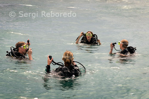 Cuatro submarinistas se preparan para una inmersión cerca de la isla de Pulau Mabul, en Turtle Tomb. Un lugar legendario y de fama mundial. Esta cueva, que ofrece una gran entrada a 21 metros de profundidad, encierra en su interior decenas de esqueletos de tortugas, que durante años se pensó acudían a este lugar para morir, algo similar a la leyenda de los cementerios de elefantes. Ya en la actualidad, los científicos han roto el encanto de la leyenda, demostrando que simplemente son tortugas que se perdieron en el interior de la cueva y murieron asfixiadas. La inmersión se realiza en pequeños grupos de 3 buceadores, con equipo de doble botella y guía especializado, sin necesidad de disponer de titulación específica. La primera etapa se desarrolla en la sala de entrada, una caverna de grandes proporciones, en cuyo fondo (a 70 m. de la entrada y 14 m. de profundidad) se abre un estrecho túnel que da acceso a la segunda sala, una enorme cavidad, con una gran roca central, en donde podremos contemplar más de 60 esqueletos de tortuga, repartidos por toda la sala. La visibilidad es excelente, pero los buceadores han de mostrar un exquisito control de flotabilidad, ya que el fondo es de un fino limo que si se levanta puede enturbiarlo todo. De regreso, ya cerca de la salida es también posible contemplar el esqueleto de un Marlyn y ya prácticamente fuera una enorme barracuda que supera el metro y medio, pero en esta ocasión de “carne y hueso”.