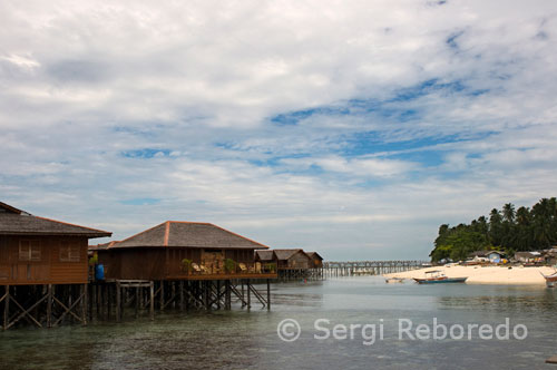 Mabul Island offers accommodation to the beach for divers. Close it finds the island of Kapalai dive with several points as the Magic Rock. Small low enough away from the island, if you can call and Kapalai, which really is a small patch of sand in the sea. The low shows two heads, about which the dive, which at times is affected by the current. Table Acroporas extend down the slopes and under these we can surprise big cuttlefish, they expect the night to come out of hiding, they are also abundant leaf scorpion fish, ribbon eels, nudibranchs and flatworms. Mandarin. Just before the resort pier. A small slope gives access to an extensive sandy plain on which find joint isolated reefs and some small remnants of the wreck. Is an immersion of 75% divig muck, but very good, with great diversity of species and many juveniles, such as angelfish. Ghost pipefish, crocodile fish, scorpion fish types, lionfish, etc. But we can also see larger animals such as turtles, Carangidae and sweet lips. Mid Reef. Flat bottom dotted with small mounds covered with small corals, visibility not so good. Moraines of different kinds, various nudibranch frog fish are some of the most common species, not to mention all the typical reef fauna can also be found, such as surgeon fish, angel fish, groupers, stingrays, clown fish and a variety of wrasses noteworthy.