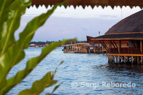 Views from the Hotel Dragon Inn in Semporna. It occupies most of the SOCT, and hosts several log cabins, apparently simple, but they are very well built and their VIP rooms, bungalow-style round, are a delight. Jacques Cousteau Sipadan placed among the top 10 dive spots in the world. This triggered the popularity of Sipadan, a small island that could not absorb the plethora of divers who had come to verify what he said Cousteau. Its main attractions is just 10 meters from the beach, the reef falls with a vertical drop of 700 meters that afflicts any diver, by an expert that is, overlooking its immensity. The Malaysian government decided in 2005 that could only dive at Sipadan, but closed all accommodations on the island, where they now reside solely military. The main reason is its proximity to the Philippines, where it departed on April 23, 2000 a group of heavily armed rebels who abducted 21 people who were quietly housed in Sipadan. Abu Sayaff, faced with the Philippine authorities and seeking international fame and money, remained tense months for 5 abducted tourists and workers from Sipadan, hidden among thousands of islands that are in the area.