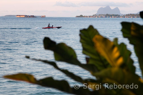 Desde el Hotel Dragon Inn se pueden ver los barcos que entran y salen del puerto de Semporna. El buceo en Mataking es diferente del de Sipadan, ya que aquí no te encuentras rodeado de 100 buceadores, y la cantidad de fauna es menor en cantidad, que no en calidad, ya que encontré nuevos nudibranquios, peces sapo, peces cocodrilo, caballitos de mar enanos, peces mandarín y morenas, que irónicamente aquí son azules. Los lugares de inmersión son muy variados, con más de 30 localizaciones alrededor de la isla e islas adyacentes, y a sólo una hora en lancha rápida se encuentra Sipadan. En realidad Mataking son 2 islas, conectadas por una lengua de arena blanca en marea baja, lo que se puede apreciar muy bien desde una torreta de madera de unos 15 metros que han construido, desde la que se puede divisar toda la isla y hacer fotos que dan una ligera idea de lo cerca que se está del paraíso en este lugar.