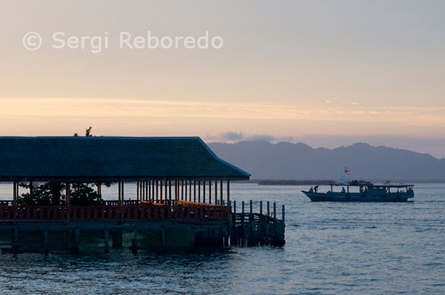 Puesta de sol en Semporna. Hotel Dragon Inn. Puerta de entrada del buceo hacia las cercanas islas de Pulau Sipadan y Pulau Mabul. Semporna a unos 100 kms de Tawau es la población puerto base de los buceadores que van a Sipadan y para llegar hasta alli puedes coger el bus local por unos 25-50 MYR depende de lo que regatees o hacer previamente una reserva con algun centro de buceo que te venga a recoger al aeropuerto con sus magnificas furgonetas.  El alojamiento del Uncle Chang es lo más cutre de la zona, y te puedes topar fácilmente con las cucarachas, salamandras y otras especies que anidan en las habitaciones. Además Uncle Chang se pasa el día borracho y no trata como es debido a los turistas