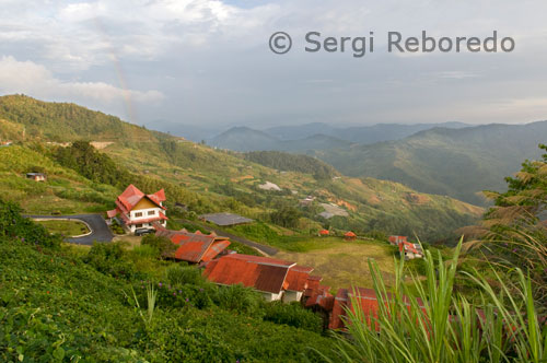 Casas ubicadas en la ladera de una montaña en el Parque Nacional Kinabalu. El Parque National de Kinabalu se encuentra en Sabah, una región en el noreste de la isla de Borneo (Malasia). Ocupa una extensión de 754 km2 y con 4090 metros de altitud es la montaña más alta de Borneo, y una de las áreas biológicas más ricas del planeta (se han registrado alrededor de 700 especies de orquídeas diferentes). Una gran parte de la flora de esta montaña es endémica de Kinabalu y no se encuentra en ningún otro lugar del mundo. La montaña se despierta despejada, a media mañana se cubre de nubes, a principios de la tarde el cielo la oscurece y por la tarde comienzan las lluvias. Recibe una precipitación anual de unos 400 cm en la base del parque (a 1560 m de altitud) y temperaturas de unos 20º, mientras que en la cima la temperatura media desciende a 2-10º y la precipitación asciende a 450 cm anuales (nosotros la pudimos sufrir bien). Sabiendo que aquí encontraríamos bosque nuboso y multitud de epifitas decidimos realizar la ascensión a la montaña (mes de Agosto). La primera parte hasta el refugio de Laban Rata (3262 m) la realizamos en unas 5.30 horas (parando a hacer fotos y mirar la flora). En esta zona se encuentran casi todas las orquídeas. Debes estar preparado para ascender bajo lluvia intensa. De las estimadas 263 especies de Dendrochilum, 81 son de Borneo. El monte Kinabalu es el emplazamiento más rico en Dendrochilum de todo Borneo en donde han sido descritas 32 especies, las que representan el 39.5% del total de todas las de Borneo. Doce especies y dos variedades de éstas son endémicas de esta montaña. Los monzones en Malasia empiezan en octubre y acaban en febrero, en algunos sitios principios de marzo. La costa este de malasia sufre bastante, especialmente zonas como las islas Perhentians (cierran hoteles, no hay ferries, los locales se van de las islas, etc).