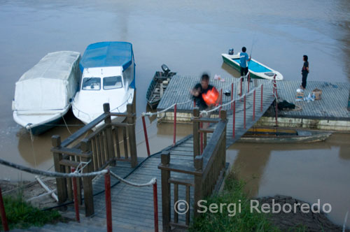 Pier at Sungai Kinabatangan River. Homestay Walai Miso experiential tourism. Sukau. Eastern Sabah. Kinabatangan River (Sungai Kinabatangan) is located in Sabah, east Malaysia, on the island of Borneo. It is the second longest river in Malaysia, with a length of 560 kilometers from its headwaters in the mountains of southwest Sabah, to its outlet at the Sulu Sea, east of Sandakan.Kinabatangan is known for its remarkable wildlife and fascinating habitats such limestone caves in Gomantong Hill, dryland dipterocarp forests, riverine forest, forest freshwater marsh, oxbow lakes and salt marshes, mangrove costa.ecología near the upper reaches of the river has been stopped seriously excessive logging and land clearing for plantations. However, the original forests of the lowland and mangrove swamps near the coast have survived in large part, and contain some of the highest concentrations of wildlife in Borneo. Of special note is Borneo's indigenous proboscis monkeys and orangutans, Asian elephants and Sumatran rhinoceros. The area also is known for its wide variety of birdlife.Cada year, the rains that hit the northeast monsoon made the river swell quickly. Unable to disgorge into the sea fast enough, the river frequently overflows its banks and spreads across the flat land of its lower reaches, creating a large floodplain. The lower Kinabatangan teeming with both the fauna and flora, making it the best area for wildlife viewing, not just in Sabah but all of Southeast Asia Oriental.En 1997, 270 square kilometers of the lower Kinabatangan floodplain were declared a protected area, and in 2001 this designation was upgraded to the "Bird Sanctuary" in large part to the efforts of World Wildlife Fund. However, other efforts to have the area declared a "wildlife refuge" or even "national park" has been opposed by the logging industry, and oil palm plantation owners seeking to extend their land cultivada.Actualmente, most nature tourism is concentrated around Sukau, accessible by road and offer comfortable accommodation for visitors prepared to pay well-managed travel. The populated area and the central government to city Kinabatangan Kinabatangan is located along the road to Sandakan-Lahad Datu, and about 90 kilometers from the town of Sandakan. The largest system of caves in Sabah Gomantong Caves can also be found in this región.En Sukau, many of the major tour operators maintain cottages. All lodges offer packages that usually include transportation, accommodation, food and guide services. The award winning country house a Sukau Rainforest lodges practicing responsable.Fomente tourism over the river in the village of Batu Putih you could choose to stay with local people from the Orang Sungei in Miso Walai homestay program. Near the village there are beautiful series of oxbow lakes. Provide accommodation, food, jungle guides, boat trips, fishing and other activities. They have also recently built eco-lodge in the jungle near one of the oxbow lakes - Lake Tungog. The ecotourism program has been successful and has clearly helped oxbow lake of the weed, financed afforestation projects and is providing a sustainable income for the community of Batu Putih.