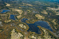 Aerial views from Camp Khwai River Lodge by Orient Express in Botswana, within the Moremi Game Wildlife Reserve and the city of Maun. The best time to visit the delta depends on what you want to see. If you are looking for are large animals, the best period is between May and October, when the water recedes and those are concentrated around water. If you want to see are birds and lush vegetation, the best time is between November and April, the rainy season. There are about forty lodges and camps in the Okavango Delta. The camps, where you can camp or rent a lodge (house or pavilion) are government property in Moremi Reserve, but not in the heart of the delta, where are the private. To access them you need an all-rounder, one mocoro, a helicopter or a plane, reserved for the most expensive, they have no path.