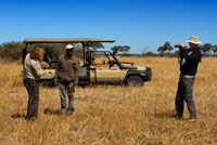 Una parella de turistes de fotografia amb una tortuga de terra prop del campament Savute Elephant Camp d'Orient Express a Botswna , al Parc Nacional de Chobe . La tortuga lleopard ( Geochelone pardalis ) és una espècie de tortuga de la família Testudinidae gran i atractiva que viu a la sabana d'Àfrica, des de Sudan fins Sud-àfrica . Aquest queloni és una tortuga de pastura que viu en zones semi - àrides , en pastures , encara que algunes tortugues lleopard s'han trobat a les zones més plujoses . Aquesta és la tortuga de major distribució a Àfrica del Sud . Té una àmplia distribució a l'Àfrica subsahariana , incloent localitats registrades al sud del Sudan , Etiòpia , Àfrica Oriental ( incloent Natal ) , Zàmbia , Botswana , Namíbia , Angola i Àfrica del Sud-oest . Les G. pardalis són la quarta espècie més gran de tortuga després de la tortuga d'esperons africana ( Geochelone sulcata ) , la tortuga de les Galápagos i la tortuga gegant d'Aldabra ( Geochelone gigantea ) . El nom del gènere és una combinació de dues paraules : Geo ( γαια ) que significa " terra" o "terra" en grec , i Chelone ( Χελωνη ) , que significa " tortuga " . El seu nom específic pardalis és de la la paraula pardus , que significa " lleopard " i es refereix a les taques leopardas de la closca de la tortuga . La tortuga lleopard té dues subespècies reconegudes