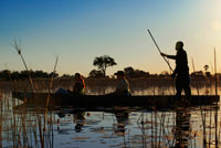 Safari aquàtic efectuat en canoes trucades mokoro partint des del campament Eagle Island Camp d'Orient Express, als afores de la Reserva d'Animals de Moremi, a Botswana. Les aigües de l'Okavango són empassades per l'aridesa del desert del Kalahari. Però abans de desaparèixer es ramifiquen i inunden una enorme extensió de territori formant un delta que és un dels majors paradisos de vida salvatge. El sol es posa contemplat des dels mokoros, les embaraciones tradicionals de la zona, mentre els éssers vius tanquen el cicle vital de cada dia ... EL OKAVANGO DELTA A mokoro. El diumenge era el dia del senyor, del senyor Okavango Delta. És la desembocadura d'un riu en terra més gran del món. A les 08:00 ja estàvem llestos per partir cap a aquesta immensa zona d'aiguamolls i illes, amb quantitat de vida animal i amb 4 (elefant, búfal, lleó i lleopard) dels Big 5, falta el rinoceront. El dia abans de marxar, es van unir a nosaltres 3 integrants més a l'expedició que van viatjar junts durant el mes anterior. Marcelo, un brasiler que parlava espanyol. Hugo, un espanyol rodamón i la seva nòvia, de New York. La ramificació del delta que passa per davant de Old Bridge Backpackers es diu Thamalakane. De la vora del mateix hostel ens vam muntar en una llanxa en direcció a l'estació de bots, anomenada Bor Boat Station NG32 i situat al poblat que porta aquest mateix nom. El viatge va durar gairebé 1hora per canals laberíntics de poca profunditat. De camí i tot just 1 km de la sortida, parada per veure un cocodril a la vora de metre i mig, una àguila pescadora ... Un cop allà, vam descarregar tots els trastos, ens presentem als nostres conductors-guies i vam carregar de nou el material al nostre nou mitjà de transport, el mokoro. Se li diu així a la canoa utilitzada per la gent local. En aquella zona es va crear una comunitat fa anys dedicada a un turisme molt d'acord i respectuós amb la natura. Actualment les canoes utilitzades són fetes de fibra de vidre amb dos seients tipus "grades d'estadi esportiu" pels 2 passatgers, més el conductor col · locat de peu a la part de darrere que maneja el tema a l'estil venecià amb un llarg pal de fusta. Allò era com viatjar en una rural gòndola per la marjal Pego-Oliva però d'uns 16.000km2 de superfície, amb més de 150.000 illes i amb una vida animal important