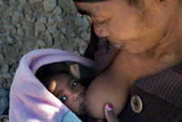 A native breastfeed her child in the camp Batawana. In the vicinity of Camp Eagle Island Camp by Orient Express, outside the Moremi Game Reserve in Botswana there is a camp where they live a hundred Batawana Indian tribe. You can canoe trips to visit their village. Botswana is a popular place to take a safari holiday for the many different birds and animals that can be seen in their natural habitat and landscape diversity. There are palm islands can only be reached by boat, and the open plains that have remained more or less throughout its history. You get a sense of freedom to explore the plains because of their large space and due to the absence of human intervention in this area. Types of camps in Botswana. There are two permanent facilities including Sandibe and Matetsi and tented camps, including Nxabega available. These lodges all facing the river, for magnificent scenery to begin and end the days of your safari holidays. Wildlife can be seen in Botswana. There are many types of wildlife that can be seen in Botswana on safari holidays it is almost impossible to list! You can see hippos, elephants, lions, crocodiles, zebras, wildebeest, impalas, monkeys, wild boar and tsessebes - only scratch the surface. At night, the hippos often approach the feeding camps mentioned above .. You can usually hear rustling noises while you lie on your bed. Try not to be afraid, but certainly not out only by reason. Moremi Game Reserve. The Moremi Game Reserve is one of the most famous national parks in Botswana, although technically a game reserve. It is located on the eastern side of the Okavango Delta and was named after the tribe chief Moremi Batawana. The Moremi Game Reserve combines permanent water to drier areas, leading to striking contrasts in the landscape. Two of the salient features of this area are heads of the island and Language Moremi. Like many areas of Botswana, Moremi Game Reserve is a great place to observe animals and birds, especially in the lagoons. You will see lions, giraffes, buffaloes, hyenas, jackals, and more. There are also over 500 species of birds to see in this game reserve, including forest dwellers, waterfowl, ospreys and billed storks saddle. Although extremely rare, the leopards are another type of animal that you see here. Your best chance to see one in heavily wooded areas. In your safari holidays can explore this area through 4x4 vehicles, on foot or by Mokoro, which is a type of canoe is made of ebony and sausage-tree, or fiberglass.