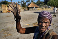 Retrato de una anciana en el campamento Batawana. En las inmediaciones del campamento Eagle Island Camp de Orient Express, en las afueras de la Reserva de Animales de Moremi, en Botswana hay un campamento donde residen un centenar de indígenas de la tribu Batawana. Es posible realizar excursiones en canoa para visitar su poblado. En el delta del Okavango. La Reserva de Animales Moremi abarca un 20% del Delta del Okavango. Es un auténtico paraíso en el que se puede admirar una extensa variedad de aves, elefantes, búfalos, jirafas, leones, leopardos, perros salvajes, hienas, chacales y antílopes.  La mejor época para visitar Moremi es durante la estación seca, que va desde el mes de Julio al mes de Diciembre. La Reserva de Moremi forma una compleja parte del Delta del Okavango. Mientras la mayoría de operadores vende el Okavango separado de Moremi, realmente son uno y lo mismo.  Moremi tiene una única historia, y es que fue el primer santuario de fauna salvaje creado por una Tribu Africana (1963), la Batawana. Más tarde, en los años' 70 el parque se agrandó para incluir la Isla Chief, que históricamente fueron terrenos de caza del Gran Jefe Batawana; y en 1991 una sección entre los ríos Ngoga y Jao en el noreste se añadió, haciendo un área total de la reserva de 4871 kilómetros cuadrados.