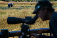 El campament Khwai River Lodge d'Orient Express a Botswana, a l'interior de la Reserva Salvatge de Caça Moremi, compta amb prismàtics d'última generació per poder contemplar tota la vida salvatge, fins i tot compta amb prismàtics de visió nocturna. D'aquesta manera es poden veure la vida dels elefants amb moltíssim més detall. Botswana prohibeix caçar elefants. El país africà sosté que "disparar als animals purament per esport i trofeus ja no és compatible" amb el seu compromís de preservar la fauna local. Botswana, el país africà on el rei Joan Carles es va trencar el maluc a l'abril en una cacera secreta, prohibirà la caça d'elefants a partir de 2014, segons consta en un comunicat penjat a la web del Govern. "Hem arribat a la decisió d'aturar la caça comercial de vida salvatge a les zones públiques a partir de 2014, perquè disparar als animals purament per esport i trofeus ja no és compatible amb el nostre compromís de preservar la fauna local com un tresor nacional" , va afirmar el comandant general Ian Khama, president de Botswana. La prohibició és el punt 124 d'un discurs de 189 sobre l'estat de la nació, penjat el 5 de novembre i rescatat avui per la BBC. Durant 2013 podran seguir funcionant 07:00 arrendaments de caça, entre ells el de Jeff Rann, l'organitzador de safaris que apareixia en algunes fotografies amb el rei Joan Carles, posant amb animals morts. Després de fer públiques les imatges, el Fons Mundial per a la Naturalesa (WWF) va retirar al monarca de la presidència d'honor de l'organització. 130.000 exemplars L'anomenada caça esportiva d'elefants està permesa en diversos països africans, com Botswana, Camerun, Gabon, Moçambic, Namíbia, Sud-àfrica i Tanzània, que fins i tot permeten treure els trofeus del país. La prohibició de les caceres és polèmica perquè, com adverteix la Unió Internacional per a la Conservació de la Naturalesa a la seva web, quan els beneficis econòmics de la caça reverteixen directament en les comunitats locals, disminueixen les morts d'elefants, en facilitar la tolerància a què els animals trepitgin els seus cultius, per exemple.