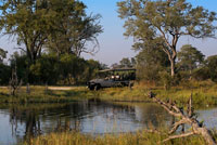 Típic paisatge inundat del Delta de l'Okavango prop del campament Khwai River Lodge d'Orient Express a Botswana, a l'interior de la Reserva Salvatge de Caça Moremi. Sens dubte, el Delta de l'Okavango, és l'excepció que confirma totes les regles. Aquesta zona pantanosa és l'única de tot el món que no desemboca al mar, sinó que està instal · lada al mig del desert del Kalahari. Ocupa al voltant de 15.000 quilòmetres quadrats al nord de Botswana i acull una de les reserves naturals més riques i impressionants d'Àfrica. Amb aquestes característiques tan peculiars ja es pot imaginar que aquí podrà veure, en viu i en directe, la flora i la fauna més insòlita i fascinant del continent. Prepareu-vos per conèixer l'Àfrica en el seu estat més pur. L'hàbitat natural del delta està format per una gran diversitat d'espècies animals i vegetals, destacant una gran varietat de peixos i aus de tots els colors, entre les que destaca l'àguila Marcial. Els avistadotes d'aus no donaran abast ... Amagats pel delta, també podem trobar: hipopòtams, cocodrils, impales, zebres, elefants, búfals, senglars .... Però un dels principals atractius d'aquesta zona és que es poden contemplar els 5 grans mamífers, els famosos big five: el lleó, la pantera, l'elefant, el rinoceront i el búfal. Es diu que els lleons que hi habiten, són els únics nedadors. Han estat capaços d'adaptar-se als canvi del nivell de l'aigua per sobreviure caçant antílops i Impala i no morir de fam. Hi ha diferents maneres de conèixer el delta, l'elecció dependrà dels seus gustos i preferències. Es pot recórrer en safaris a peu, en llanxa o en mokoro. Potser la manera més especial de fer-ho és amb els mokoros, una mena de canoes de fusta utilitzades pels habitants de la zona per desplaçar-se pels canals. Solen tenir capacitat per a dues persones, i les condueixen manualment. En ser un transport silenciós, li permetrà acostar més als animals del lloc. La millor època per visitar el delta va en funció del que es vulgui observar. L'època de pluges del delta d'Okavango és entre novembre i abril. És el millor moment per observar aus i l'espectacle explosiu de la vegetació en cada racó.