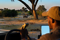 Un dels guies al 4x4 en què es realitzen els safaris al Delta de l'Okavango prop del campament Khwai River Lodge d'Orient Express a Botswana, a l'interior de la Reserva Salvatge de Caça Moremi. Botswana. Encara que només una part del delta, la Reserva de Moremi, és zona protegida, aquest oasi enmig del desert constitueix un dels principals enclavaments del continent de la vida salvatge ia la vegada és la principal atracció del país. No hi ha turista que no viatge a Bostwana i no passi per aquesta joia natural El delta és un cas molt poc usual del que és un delta, ja que a diferència de la immenses majoria aquest no desemboca al mar. En realitat, més que un delta, hauríem d'estar parlant d'un ventall fluvial que es divideix en 4 regions diferents: Delta oriental: aquesta és la zona amb una millor accessibilitat i també és la més econòmica en comparació amb la reserva de Moremi i l'interior del delta. En aquesta zona s'inclouen els pantans compresos entre l'extrem sud de la Reserva de Moremi ia l'anomenada "filat del búfal" que engloba els rius Bor i Santandadibe. La millor manera d'accedir a aquesta zona és a través de Maun a mokoro (piragua tradicional que sol estar construïda amb fusta de banús o de Kigelia africana, encara que últimament predominen les construïdes en fibra de vidre) o bé en 4x4 mitjançant l'acampada. Els refugis i agències de Maun solen organitzar creuers en mokoro per aquesta regió del delta.