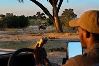 Uno de los guías en el 4x4 en el que se realizan los safaris en el Delta del Okavango cerca del campamento Khwai River Lodge de Orient Express en Botswana, en el interior de la Reserva Salvaje de Caza Moremi. Botswana. Aunque sólo una parte del delta, la Reserva de Moremi, es zona protegida, este oasis en medio del desierto constituye uno de los mayores enclaves del continente de la vida salvaje y a su vez es la principal atracción del país. No hay turista que no viaje a Bostwana y no pase por esta joya natural El delta es un caso muy poco usual de lo que es un delta, ya que a diferencia de la inmensas mayoría este no desemboca en el mar. En realidad, más que un delta, deberíamos estar hablando de un abanico fluvial que se divide en 4 regiones diferentes: Delta oriental: esta es la zona con una mejor accesibilidad y también es la más económica en comparación con la reserva de Moremi y el interior del delta. En esta zona se incluyen los pantanos comprendidos entre el extremo sur de la Reserva de Moremi ya la llamada “alambrada del búfalo” que engloba los ríos Boro y Santandadibe. La mejor forma de acceder a esta zona es a través de Maun en mokoro (piragua tradicional que suele estar construida con madera de ébano o de kigelia africana, aunque últimamente predominan las construidas en fibra de vidrio) o bien en 4x4 mediante la acampada. Los refugios y agencias de Maun suelen organizar cruceros en mokoro por esta región del delta.