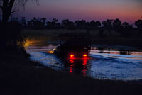 Un 4x4 creua una de les zones inundables durant el safari nocturn que Orient Express efectua al campament Khwai River Lodge d'Orient Express a Botswana , a l'interior de la Reserva Salvatge de Caça Moremi , Botswana . Safari nocturn pels pantans de Linyati Recórrer aquesta part del Parc Nacional de Chobe quan cau la nit és tot un luxe . Gràcies a que les normes en aquesta zona no són tan estrictes com en altres vedats nacionals és possible conduir quan ja no hi ha llum i aturar-se a contemplar la vida animal al voltant dels pantans . Els elefants , els lleons i els guepards són només alguns dels veïns de les aigües de Linyati . Es tracta d'una experiència que no et defraudarà . A Botswana es produeix el segon moviment migratori més gran de zebres de tot Àfrica. Més de 25.000 individus es desplacen 2 cops l'any a la recerca de pastures fresques aigua . Entre març i abril inicien la seva ruta des del nord cap a la regió de Makgadikgadi , que després de les pluges d'estiu explosiona en verdor , aigua i pastures . Aquí romanen fins als mesos de setembre i octubre , i tornen al nord , en direcció Chobe i Moremi , sobre el mes de novembre.