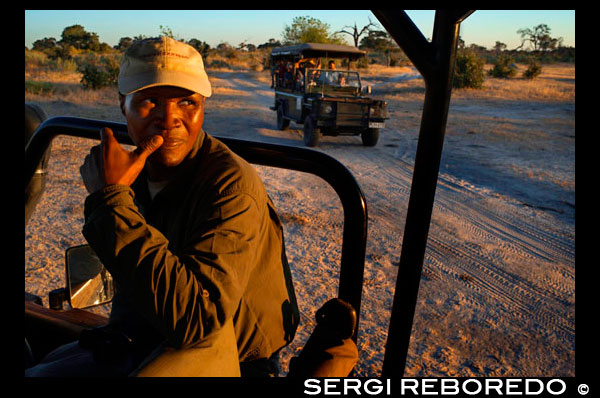 Un dels guies del Savute Elephant Camp d'Orient Express a Botswana, al Parc Nacional de Chobe. pujat a un dels vehicles 4x4 en el moment de fer un safari. Situada al centre d'Àfrica Meridional, Botswana, sense accés al mar, s'estén uns 1.100 km de nord a sud i 960 km d'est a oest, ocupant una àrea equivalent a la de França, una mica més gran que Espanya. Al Sud limita amb Sud-àfrica, a través dels rius Limpopo i Molopo, al Nord-est, amb Zimbabue, mentre que Namíbia abraça les fronteres oest i nord. En Kazungula, en el remot Nord, quatre països-Botswana, Zimbabwe, Zàmbia i Namíbia-conflueixen en el centre del corrent del riu Zambeze. La major part del territori (un 75%) està al Kalahari, el desert més meridional d'Àfrica encara que no és pròpiament un desert, ja que està cobert d'herbes i arbustos, però no hi ha cursos d'aigua en la seva superfície si exceptuem el riu Boteti, el que el converteix en una terra no apta per a l'agricultura o la ramaderia i li ha valgut el sobrenom de terra de la set. Un altiplà d'uns 1.200 metres d'altitud divideix el país en dues regions, cadascuna amb el seu propi sistema hidrogràfic. Al nord es troben les conques pantanoses del Makgarikgari i l'Okavango. Una gran extensió de sabanes, on es desenvolupen la ramaderia i l'agricultura (principals activitats econòmiques del país), marca la transició de les estepes desèrtiques del SO i els boscos del N i el NE. Els rius més importants són el Okavango, el Limpopo i el Chobe. Entre els llacs, el Ngami i el Xau. Botswana està considerada com una de les reserves de la flora i fauna africana més importants del continent. És en els Parcs Nacionals de Chobe i Nxai Pa on es concentren la majoria de les espècies animals. Les terres seques de Botswana alberguen més de setanta espècies de serps, entre les que destaca la cobra de coll negre i moltes arborícoles i enfiladisses verinoses, abundants al Okavango, però que no solen acostar-se als humans. Aquesta part d'Àfrica Meridional ofereix una mostra d'ocells comuns d'espècie indefinida i també acull un conjunt de fauna avícola colorista i exòtica. Entre les aus hi l'elegant grua coronada de coll gris, el turaco gris amb el seu característic crit, la bella carraca de pit lila i l'auster secretari o serpentario, que derrota a les serps botant diverses vegades sobre elles. Els parcs nacionals i reserves més bells de Botswana són la llar d'una varietat sorprenent de vida salvatge i en ells habiten elefants, guepards, licaons, lleopards, hienes, girafes, hipopòtams i zebres. La major part de la nació està coberta per la sabana, formada per acàcies o arbustos espinosos. Els únics boscos de mopane es troben al Nord-est, on hi ha àrees en què s'aprofita la fusta per a la construcció. A la mateixa zona creixen arbres mongonga i Marula, els fruits comestibles van servir en altres temps com a base alimentària del poble sant. La fusta tova del Marula s'utilitza en l'artesania local, i els seus fruits s'empren per elaborar una espècie de cervesa.