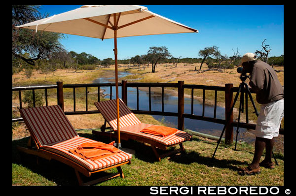 Savute Elephant Camp d'Orient Express es troba al canal sec de Savute, al Parc Nacional de Chobe. L'experiència aquí és radicalment diferent a la dels altres safaris del sud d'Orient-Express, en trobar-se l'escarpada i semiàrida regió selvàtica del nord de Botswana. Savute personifica l'etern contrast d'Àfrica. Si els altres dos campaments presumeixen de les seves aigües i la seva vegetació exuberant, Savute és tota una lliçó d'aridesa. La pluja en aquestes terres tan seques és molt escassa i preuada. Situat al misteriós Canal d'Savute-un excèntric canal navegable que fluctua des de fa dècades entre completament sec o inundat-tot l'ethos del Savute Elephant Camp està en concordança amb els seus habitants i medi ambient, tot i que l'aigua no ha fluït des 1983. En Savute un descobreix el poc que han canviat els seus seques planes des que van començar els temps. I també el privilegi de trobar-se en un dels últims racons del planeta governats per la natura. Aquesta zona és famosa per les seves espectaculars aus i paisatges, però a més ofereix l'oportunitat d'observar les pintures rupestres dels primers boiximans que van habitar la regió. El campament es troba al Parc Nacional de Chobe, on les normes reguladores prohibeixen conduir o passejar de nit. Director general: Warren Stone Vida animal: Tots els dies, a l'alba o mentre fa fosc, 01:00 guardaboscos professional et guiarà en safari 4X4 perquè vegis com pasturen les nombroses i impassibles ramats d'Impala, tsessebe, girafes i zebres, així com una àmplia varietat de poderosos depredadors: lleons, lleopards i guepards. També és probable que vegis nombrosos nyus, senglars africans, kudu, xacals de llom negre, antílops, guineus d'orelles de ratpenat, voltors, hornbills i àguiles. Savute, regne suprem dels elefants, és la llar de la major concentració africana d'elefants del món i el racó perfecte per descobrir les majors criatures del planeta en el seu màxim esplendor. Quan arriben les pluges de desembre, aquesta àrida regió canvia completament i les planes seques mantenen, per un curt període, ramats de zebres emigrant per milers. En el seu camí es troben amb depredadors oportunistes com els lleons i hienes. Un veritable espectacle per contemplar. Allotjament: Les 12 botigues de luxe i sostre de palla estan equipades a la perfecció per a l'aire desèrtic i magníficament decorades amb dutxa i vestidor a l'habitació. A més, tenen terrasses privades, i dues d'elles compten amb dutxes a l'aire lliure amb vistes al canal de Savute.