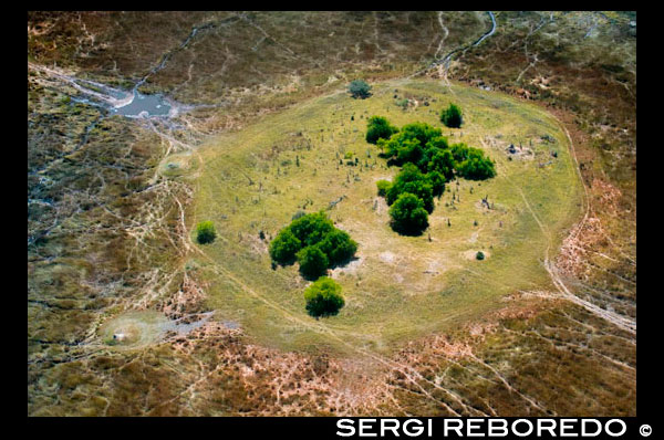 Vistas aéreas entre del campamento Savute Elephant Camp de Orient Express en Botswna, en el Parque Nacional de Chobe y el campamento campamento Eagle Island Camp de Orient Express, en las afueras de la Reserva de Animales de Moremi, en Botswana. El río Okavango es un largo río africano, que nace en la meseta de Bié, en Angola, en una zona bastante lluviosa, y que tras un recorrido de casi 1.000 km penetra en una cuenca endorreica, ya en Botsuana, donde ha formado una extensa región aluvional impropiamente denominada y conocida en todo el mundo como el delta del Okavango. Como desemboca en una zona con un clima muy árido, se trata de un río alóctono, como es el caso del río Nilo, en Egipto, o el río Níger en Malí. Su cuenca drena una superficie de 721.277 km². La estación de las lluvias en el delta coincide con la de Angola, que tiene lugar entre octubre y abril y produce la crecida del río Okavango, que empieza a notarse en diciembre y tarda nueve meses en completarse debido a la escasa pendiente del río, unos 60 m en 450 km. Las lluvias son más abundantes en el norte y menores en el sur, donde el río se interna en el Kalahari. En la ciudad de Maun, la puerta sur del delta del Okavango, el contraste entre el día y la noche es muy grande en invierno, con una media de las mínimas de 6 °C y una media de las máximas de 23 °C. No son raras las heladas durante las olas de frío. En verano, el calor es muy fuerte pero por la noche sigue refrescando, con una media de las mínimas de 19 °C en noviembre y diciembre y una media de las máximas de 35 °C en octubre, antes de las lluvias. La humedad se mantiene entre el 55 y el 70 por ciento. Las lluvias son nulas en julio, agosto y septiembre y prácticamente nulas en mayo y junio, con 5 y 3 mm de media. En octubre, la media es de 23 mm; en noviembre, de 56 mm; en diciembre, de 86 mm; en enero, el mes más húmedo, de 107 mm; en febrero, de 71 mm; en marzo, de 71 mm, y en abril, de 18 mm; luego se acaban, pero las aguas siguen subiendo muchas veces hasta julio. 