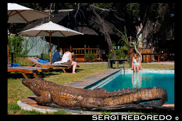 Exteriores del campamento Eagle Island Camp de Orient Express, en las afueras de la Reserva de Animales de Moremi, en Botswana. Situado en el Delta Central de Okavango, Eagle Island Camp es un campamento construido sobre el agua, con tiendas y tejados de paja, en una de las islas de la Laguna Xaxaba. Xaxaba significa literalmente “isla de árboles altos”. El campamento es un agradable refugio protegido del sol africano, gracias a la sombra proporcionada por una bóveda de árboles autóctonos. Se encuentra en uno de los lugares más vírgenes y naturales del delta, una región con gran variedad de canales y amplios humedales. La vida animal y de aves de esta región es muy abundante, pudiendo observarse a las especies a bordo de mekoros (piraguas tradicionales), barcas motorizadas, cruceros de 14 asientos al atardecer y un helicóptero Bell Jet Ranger (con coste adicional). Para los exploradores más intrépidos y con ansias de seguir rastros y ruidos en los arbustos, el campamento pone a su disposición paseos guiados. Además, las magníficas puestas de sol pueden disfrutarse -a cubierto de las lluvias- desde el Fish Eagle Bar o desde la plataforma elevada con vistas a la laguna. Eagle Island Camp ofrece actividades matutinas y al atardecer para avistar animales. Pueden hacerse en barcas motoras o en sigilosos mekoros (piraguas tradicionales) a través de las aguas claras del Okavango. Las actividades incluyen:  Excursiones guiadas de avistamiento de animales y aves - uno de los mejores lugares del mundo  Travesías en barcas motoras (de junio a septiembre, cuando las aguas lo permiten) Piraguas tradicionales (mekoros) y cruceros al atardecer en una embarcación de 14 plazas (cuando las aguas lo permiten) Charlas sobre la vida salvaje y la astronomía con el director de medio ambiente Safaris en helicóptero sobre el Delta (vuelos de 30 minutos gratuitos para los huéspedes que reserven 6 noches entre los diferentes campos. Las estancias de menos tiempo no incluyen el paseo en helicóptero gratis pero sí está disponible con cargo extra) Servicios a petición y sujetos a recargo  Director de medio ambiente de la compañía  Guías y vehículos privados  Guías e interlocutores especializados  Vuelos para observar animales: aeroplano Cessna 206  Exclusividad del campamento (sujeto a disponibilidad)  Premios: New York Times: “Uno de los bares más románticos del mundo” 