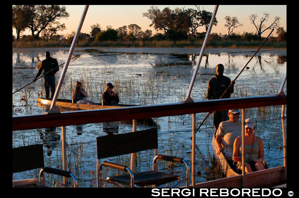 Water held in mokoros Safari in the Okavango Delta camp starting from Eagle Island Camp by Orient Express, outside the Moremi Game Reserve in Botswana. Free camping in the middle of the Okavango Delta is an amazing experience. It allows you to be in touch with nature and allowed us to see one of the most incredible sunsets of our trip to South Africa. The special thing about this evening was that we saw from a mokoro in the middle of the calm and clear waters of the Okavango Delta mokoro Botswana.El (makoro mocoro or canoes) is a kayak or canoe was originally made of ebony, although today are fiberglass. Usually led by a guide will (poler) that leads to a pole. It also has room for two passengers and material support for the night in the camp. In our case we sat on mats then helped us to sleep. Tip: If you have the opportunity to choose is important that the poler speak at least some English and is young and eager to communicate. Our experience with these people was really very good, at night by the fire were telling stories and sharing dinner with us on an island in the Okavango Delta. How did we get? We went by plane from the airport Maum, to the airport or better described the Sepupa airstrip. From there by truck to reach the shores of the river to catch the mokoro. I have no words to describe what it means to fly the largest inland delta in the world, but the few I could find and use in Article Flying over the Okavango Delta. The mokoro impressive is the tranquility and silence you closer and see wild animals, we saw hippos, elephants, eagles ... but best of that day was the sunset. As we were going to sleep on an island in tents in the middle of the river, did not need to come back soon to continue the route along the river lost, so we could not stay to see the sunset. Instead of describing you have some photos that speak for them mismas.Baño in the river. The waters are crystal clear and in places with current seems not dangerous to swim as long as the guides or polers so allow. I do not bathe for a chance get coccidia (a parasite Local). They are usually in stagnant water, and mainly in the Zambezi River. Some friend if that bathroom and if I were I would bathe, because I did there as a precaution but a week after rafting on the Zambezi River end I poured in more than 14 occasions, and I think I swallowed so much water that contributed to the drying of the delta