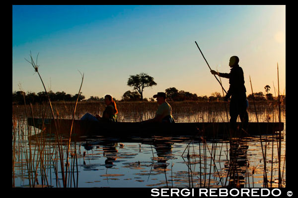 Water Safari calls made mokoro canoe camp starting from Eagle Island Camp by Orient Express, outside the Moremi Game Reserve in Botswana. The waters of the Okavango are swallowed by the arid Kalahari Desert. But before disappearing branch and flood a vast expanse of land forming a delta that is one of the greatest wildlife havens. The sun sets mokoros referred from, the traditional local Boats, while living close the life cycle of every day ... THE DELTA OKAVANGO MOKORO. Sunday was the Lord's day, Mr. Okavango Delta. It is the mouth of a river in world's largest earth. At 8am we were ready to depart for the vast area of ??wetlands and islands, with lots of animal life with 4 (elephant, buffalo, lion and leopard) of the Big 5, missing the rhinoceros. The day before leaving, joined us three more members to the expedition that traveled together during the previous month. Marcelo, a Brazilian who spoke Spanish. Hugo a wanderer and his Spanish bride, of New York. The delta branch that passes in front of Old Bridge Backpackers is called Thamalakane. From the edge of the same hostel we hopped on a boat in the direction of the station boats, called Boro NG32 Boat Station and situated in the village bearing the same name. The trip took almost 1 hour for shallow labyrinthine channels. On the way and just 1km from the exit, stopping to see a crocodile on the bank of feet, an osprey ... Once there, download all the stuff, we present our driver-guides and loaded again the material on our new means of transport, the mokoro. It is so called the canoe used by local people. In that area for years created a community dedicated to a very consistent and respectful tourism with nature. Currently the canoes used are made of fiberglass two seat type "sports stadium bleachers" for 2 passengers, plus the driver placed standing in the back who runs the Venetian-style theme with a long wooden stick. It was like traveling on a rural gondola the Pego-Oliva marsh but a few 16.000km2 area, with more than 150,000 islands and an important animal life. After 1 hour and 30 minutes upstream from the ends of the channels in a first section and open channels between the vegetation in the second half, we arrived at our base camp, an island called Madikudu. In the small boat that we had food, shopping and luggage for the 3-board, so that the water was just over 5cm to get inside. That coupled with the constant jolts that seemed to dump the canoe, I was tense all the way, where the only thing is I would have imported the camera wet. Since the trip more economical hire, food and camping equipment was provided by each. Diana and I went with Chris to buy the day before and to propose a purchase together, I could not say no although I was repenting before have said it .... because the food is not played. After mounting played the lunch shops, and release my menu was bread with peanut butter. For if we stayed hungry were apples. These people have other priorities in life and certainly for mine unfortunately the food was not one of them. At 16h marched to my first walking safari, a unique, authentic and quiet.