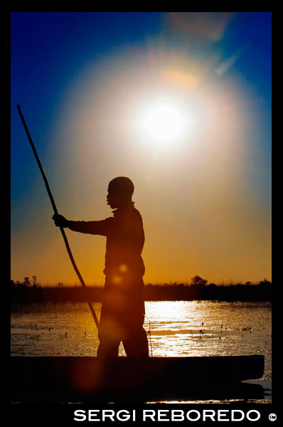 Una de las maneras de realizar un safari acuático es hacerlo en unas barcas llamadas mokoros, las canoas tradicionales que utilizan los habitantes del delta, y llegar con ellas a alguna de las islas con tierra firme para pasar allí la noche entre ruidos de hipopótamos y de hienas, al cobijo de una hoguera y bajo el cielo estrellado más bello y diáfano que puedas imaginar. Todo bien regado con amarula, una especie de licor de café que se hace con el fruto de un árbol de la selva y con el que hasta los elefantes se ponen felices de vez en cuando.  De allí partimos directos a uno de esos lugares que un viajero tiene siempre como pendiente, el delta del Okavango. Un extraño río que nace de las entrañas del Kalahari, para empaparlo todo de vida y perderse de nuevo entre la sequedad de África. Es complicado describir un sitio que se recorre en mocoros (una especie de canoas), atravesando papiros, lirios y cañizales y con una sorprendente vida salvaje camuflada en el entorno (es difícil, al menos, transmitir las sensaciones). Tumbados en aquellas barcas, empujadas por un “puller” que maneja el mocoro con un largo palo de madera que sumerge en las poco profundas aguas que ahogan el desierto, la vida parece algo sencillo. Ellos beben el agua del manantial, pescan peces con red, duermen bajo el rastro de una candela en medio de una isla deshabitada. Y allí estás tu, contemplando como unas decenas de hipopótamos nos recuerdan que aquellas son sus tierras, escuchando sus voces retumbar entre la maleza, siguiendo la huella de alguno de los elefantes que hemos visto en las laderas y (algo personal) pensando que un pequeño bar en la zona para quedarse tomando una copa sería el colofón a un día perfecto (es para lapidarme, lo sé). Es el defecto que tenemos algunos enamorados de esta cosa de perdernos por el mundo, que si pudiéramos llevaríamos una bodega en la maleta para beberla en sorbos solitarios. Hay multitud de imágenes inolvidables de aquellos dos días: un atardecer en primera línea de Delta con la luz vacilándonos a su antojo; un poco de agua sobre mi cabeza debido a que mi mocorista estaba ya algo cascado, incapaz de seguir el ritmo de los más jóvenes, y acabó remando para avanzar por palmos… Pero sobre todo hay un baño de los que puntúan (mensaje para mi amigo Juancho) en medio del río. Los pullers nos preguntaron cuántos queríamos bañarnos. En pocos minutos varios del grupo nos sumergíamos en las aguas cristalinas del Okavango, en medio de una corriente que parecía dormida pero que arrastraba dirección Angola, con la sensación de empaparnos el culo en medio del paraíso y rodeados de animales invisibles. Luego uno se seca al sol, sin casi ya usar los ojos, entendiendo como normal que a cien metros un grupo de elefantes mire la escena con desgana.