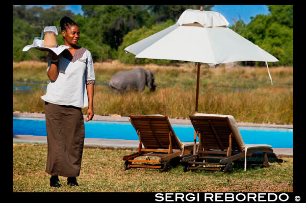 Una cambrera serveix te gelat als turistes que arriben de safari al campament Khwai River Lodge d'Orient Express a Botswana, a l'interior de la Reserva Salvatge de Caça Moremi. Khwai River Lodge està situat a la vora del Riu Khwai, al costat de la Reserva de Caça Moremi, a Botswana. El riu Okavango és un llarg riu africà, que neix a l'altiplà de Bié, a Angola, en una zona bastant plujosa, i que després d'un recorregut de gairebé 1.000 km penetra en una conca endorreica, ja a Botswana, on ha format una extensa regió aluvional impròpiament denominada i coneguda a tot el món com el delta de l'Okavango. Com desemboca en una zona amb un clima molt àrid, es tracta d'un riu al · lòcton, com és el cas del riu Nil, a Egipte, o el riu Níger a Mali. La millor època per visitar el delta depèn del que es vulgui observar. Si el que es busca són animals grans, el millor període és entre maig i octubre, quan les aigües baixen i aquells es concentren al voltant de l'aigua. Si el que es vol veure són aus i una vegetació exuberant, la millor època és entre novembre i abril, l'època de les pluges. Els lleons de l'Okavango són famosos per la seva grandària i fortalesa, i perquè es diu que són els únics lleons nedadors que existeixen. També es poden observar elefants, molt nombrosos al Okavango, àguiles marcial, zebres, mussol pescador comú, etc. La intenció del govern de Botswana és evitar el turisme de masses en el fràgil ecosistema del parc, i per tant l'estada i els allotjaments dins del parc són molt cars. Per aquesta raó aquest programa de voluntariat és una fantàstica oportunitat de visitar la zona alhora que col · labora en la reconstrucció de l'escola de primària de la zona. Les principals tasques dels voluntaris seran de manteniment general i pintar les instal · lacions perquè els nens de la zona puguin assistir a una escola digna. Part del cost del programa es dedica a la compra dels materials necessaris. Es treballaran cinc dies a la setmana, de 8 am a 5 pm, tenint dos dies lliures en què es pot explorar la zona del delta d'Okavango, albirar la fauna i fins i tot anar de pesca en un dels paratges més impressionants del món.