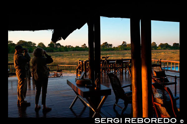Un parell de turistes al porxo exterior del campament Khwai River Lodge d'Orient Express a Botswana, a l'interior de la Reserva Salvatge de Caça Moremi. Khwai River Lodge està situat a la vora del Riu Khwai, al costat de la Reserva de Caça Moremi i als afores del Delta d'Okavango. Khwai River Lodge és un dels hotel-safari més antics de Botswana, obert a finals dels anys 60 pel mort Sir Seretse Khama, primer president de la Botswana independent. Està situat sobre antigues plantes indígenes i figueres, a vuit quilòmetres al nord-oest de la porta nord de la Reserva Salvatge de Caça Moremi. A més, domina amb les seves vistes al riu Khwai i és el lloc perfecte per observar el paisatge perenne de la sabana africana i descobrir les seves variades espècies d'aus. El riu Khwai forma part del Delta d'Okavango. El campament es troba en Moremi, una de les reserves de més majestuositat d'Àfrica que presumeix d'albergar els exemplars més grans, ràpids, lluents i bells, com els abundants cocodrils i hipopòtams que habiten a les seves terres o els ramats de zebres i antílops que esquincen satisfetes la superfície de l'herba. Allà on aquests s'alimenten, amenacen tota mena de depredadors: lleons, lleopards i panteres, hienes i gossos salvatges. Les 14 botigues de luxe amb llits dobles i teulades de palla es presenten magníficament decorades, amb dutxes interiors i vestidors. A més, les botigues estan situades sobre una plataforma amb vistes al Riu Khwai. La suite Maratons-que significa lloc de l'amor-compta amb dues dutxes exteriors i banyera d'estil victorià. Els clients que s'allotgin en ella disposen d'un guia exclusiu i de l'ús privat d'un vehicle per albirar animals.