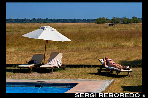 Una turista toma el sol en bañador junto a la piscina en el campamento Khwai River Lodge de Orient Express en Botswana, en el interior de la Reserva Salvaje de Caza Moremi. Khwai River Lodge está situado a orillas del Río Khwai, junto a la Reserva de Caza Moremi y en las afueras del Delta de Okavango. En su ribera y humedales habitan numerosas especies -hipopótamos, elefantes, leones, leopardos, antílopes y abundantes clases de pájaros- a sólo unos metros de los campamentos, abiertos lateralmente por el comedor y con vistas desde el césped de la piscina.  El campamento dispone de 15 magníficas tiendas de lujo, una suite con bañera de cobre exterior de estilo Victoriano, ducha, piscina propia y una terraza aislada.  Cada tienda tiene un espacio sombreado con una hamaca y cómodas sillas con vistas al Río Khwai y su abundante vida animal. Equipado con todo tipo de comodidades modernas -incluido mini-bar y sistema de ventilación de aire acondicionado- las tiendas fueron decoradas  por el famoso diseñador Graham Viney. Al descender el avión hacia el Khwai River Lodge, los huéspedes disfrutarán de una visión aérea de los tres ecosistemas que descubrirán en los safaris de Orient-Express: una mezcla de verdor junto al río, sus aguas y la seca y polvorienta sabana. Khwai River Lodge ofrece safaris de avistamiento en coches 4X4 por la mañana y a última hora de la tarde. También es posible realizar excursiones bajo la luz de los focos e incluso a pie al anochecer para observar animales. 