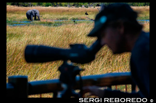 El campament Khwai River Lodge d'Orient Express a Botswana, a l'interior de la Reserva Salvatge de Caça Moremi, compta amb prismàtics d'última generació per poder contemplar tota la vida salvatge, fins i tot compta amb prismàtics de visió nocturna. D'aquesta manera es poden veure la vida dels elefants amb moltíssim més detall. Botswana prohibeix caçar elefants. El país africà sosté que "disparar als animals purament per esport i trofeus ja no és compatible" amb el seu compromís de preservar la fauna local. Botswana, el país africà on el rei Joan Carles es va trencar el maluc a l'abril en una cacera secreta, prohibirà la caça d'elefants a partir de 2014, segons consta en un comunicat penjat a la web del Govern. "Hem arribat a la decisió d'aturar la caça comercial de vida salvatge a les zones públiques a partir de 2014, perquè disparar als animals purament per esport i trofeus ja no és compatible amb el nostre compromís de preservar la fauna local com un tresor nacional" , va afirmar el comandant general Ian Khama, president de Botswana. La prohibició és el punt 124 d'un discurs de 189 sobre l'estat de la nació, penjat el 5 de novembre i rescatat avui per la BBC. Durant 2013 podran seguir funcionant 07:00 arrendaments de caça, entre ells el de Jeff Rann, l'organitzador de safaris que apareixia en algunes fotografies amb el rei Joan Carles, posant amb animals morts. Després de fer públiques les imatges, el Fons Mundial per a la Naturalesa (WWF) va retirar al monarca de la presidència d'honor de l'organització. 130.000 exemplars L'anomenada caça esportiva d'elefants està permesa en diversos països africans, com Botswana, Camerun, Gabon, Moçambic, Namíbia, Sud-àfrica i Tanzània, que fins i tot permeten treure els trofeus del país. La prohibició de les caceres és polèmica perquè, com adverteix la Unió Internacional per a la Conservació de la Naturalesa a la seva web, quan els beneficis econòmics de la caça reverteixen directament en les comunitats locals, disminueixen les morts d'elefants, en facilitar la tolerància a què els animals trepitgin els seus cultius, per exemple. Un cens aeri acabat en 2011 va mostrar una caiguda dramàtica del nombre de nyus, girafes i antílops en els últims 15 anys al nord de Botswana. En el cas dels nyus, la seva població va disminuir un 90%, segons Michael Chase, principal autor de l'estudi i fundador d'Elefants sense Fronteres. "L'ús del sòl, la fragmentació de l'hàbitat, els canvis en la vegetació, els efectes de la sequera, les tanques, els incendis i la caça furtiva són factors que contribueixen al declivi de la vida salvatge al llarg d'Àfrica", explicava Chase. No obstant això, el seu cens mostrava una població "estable" d'elefants, amb uns 130.000 individus.