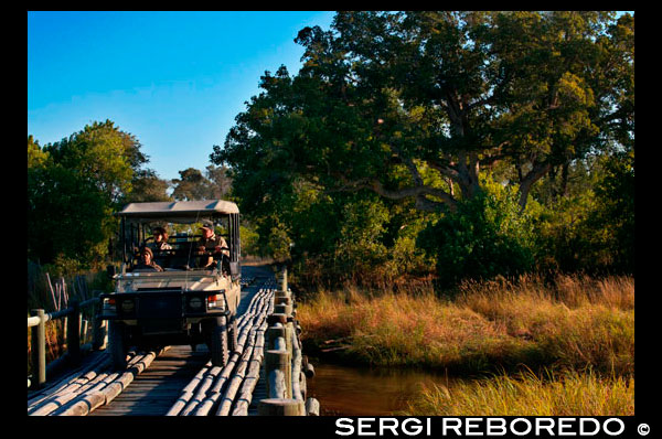 Un dels ponts propers a la porta d'entrada al Delta de l'Okavango prop del campament Khwai River Lodge d'Orient Express a Botswana, a l'interior de la Reserva Salvatge de Caça Moremi. Botswana. Al segle 19, les hostilitats entre el tswana habitants de Botswana i ndebele tribus que van ser emigrant en el territori des del desert de Kalahari. També una escalada de tensions amb els colons de Boer el Transvaal. Després de les crides dels dirigents de la batswana Khama III, Bathoen Sebele i d'assistència, el Govern britànic el 31 març 1885 posar "Bechuanalandia" sota la seva protecció. El nord del territori segueix sota l'administració directa com la Bechuanalandia Protectorat i és avui dia Botswana, mentre que el sud del territori va passar a formar part de la Colònia del Cap i ara és part de la província nord-oest de Sud-àfrica, la majoria de parla setswana persones viuen avui al sud d'Àfrica. Quan la Unió de Sud-àfrica es va formar en 1910 de les principals colònies britàniques a la regió, el Protectorat Bechuanalandia, Basutolandia (actualment Lesotho), i Swazilàndia (el "Alt Comissionat de Territoris d'Ultramar") no es van incloure, però es preveuen crèdits per seva posterior incorporació. No obstant això, un vague compromís va ser donat a consultar als seus habitants, i encara que successius governs de Sud-àfrica han tractat dels territoris transferits, Gran Bretanya manté retardar, i que mai es va produir. L'elecció del govern del Partit Nacional el 1948, que va instaurar l'apartheid, Àfrica del Sud i la retirada de la Commonwealth el 1961, va acabar qualsevol possibilitat de la incorporació dels territoris a Àfrica del Sud. Una expansió de l'autoritat central britànica i l'evolució del govern tribal va resultar en 1920 la creació de dos consells consultius que representen els africans i els europeus. Proclamacions, en 1934 van regularitzar tribals Estat i els poders. A Europa i Àfrica consell consultiu es va formar en 1951, i la Constitució de 1961 va establir un consell legislatiu de consulta. Al juny de 1964, Gran Bretanya va acceptar les propostes d'autogovern democràtic de govern a Botswana. La seu de govern es va traslladar de Mafikeng al sud d'Àfrica, recentment creat a Gaborone en 1965. La constitució de 1965 va conduir a les primeres eleccions generals a la independència i el 30 de setembre de 1966. Seretse Khama, un líder en el moviment independentista i el legítim reclamant a la Ngwato chiefship, va ser triat com el primer president reelegit dues vegades, i va morir en el càrrec en 1980. La Presidència passa a la sessió Vice President, Quett Masire, que va ser elegit en el seu propi dret el 1984 i reelegit el 1989 i 1994. Masire retirat del seu càrrec en 1998. La Presidència passa a la sessió Vice President, Festus Mogae, que va ser elegit en el seu propi dret el 1999 i reelegit el 2004. El pròxim president és el Tinent General Seretse Khama Ian Khama a partir de 2008 i abans de les eleccions el 2009. Ell és el fill del primer president de Botswana i és també l'ex dirigent de l'exèrcit de Botswana (BDF).