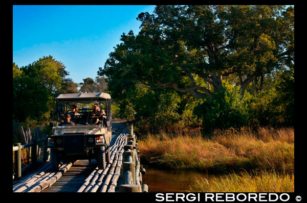 Uno de los puentes cercanos a la puerta de entrada al Delta del Okavango cerca del campamento Khwai River Lodge de Orient Express en Botswana, en el interior de la Reserva Salvaje de Caza Moremi. Botswana. En el siglo 19, las hostilidades entre el tswana habitantes de Botswana y ndebele tribus que fueron emigrando en el territorio desde el desierto de Kalahari. También una escalada de tensiones con los colonos de Boer el Transvaal. Después de los llamamientos de los dirigentes de la batswana Khama III, Bathoen Sebele y de asistencia, el Gobierno británico el 31 de marzo de 1885 poner "Bechuanalandia" bajo su protección. El norte del territorio sigue bajo la administración directa como la Bechuanalandia Protectorado y es hoy en día Botswana, mientras que el sur del territorio pasó a formar parte de la Colonia del Cabo y ahora es parte de la provincia noroeste de Sudáfrica, la mayoría de habla setswana personas viven hoy en el sur de África. Cuando la Unión de Sudáfrica se formó en 1910 de las principales colonias británicas en la región, el Protectorado Bechuanalandia, Basutolandia (actualmente Lesotho), y Swazilandia (el "Alto Comisionado de Territorios de Ultramar") no se incluyeron, pero se prevén créditos para su posterior incorporación. Sin embargo, un vago compromiso fue dado a consultar a sus habitantes, y aunque sucesivos gobiernos de Sudáfrica han tratado de los territorios transferidos, Gran Bretaña mantiene retrasar, y que nunca se produjo. La elección del gobierno del Partido Nacional en 1948, que instauró el apartheid, África del Sur y la retirada de la Commonwealth en 1961, terminó cualquier posibilidad de la incorporación de los territorios en África del Sur.  Una expansión de la autoridad central británica y la evolución del gobierno tribal resultó en 1920 la creación de dos consejos consultivos que representan a los africanos y los europeos. Proclamaciones, en 1934 regularizaron tribales Estado y los poderes. A Europa y África consejo consultivo se formó en 1951, y la Constitución de 1961 estableció un consejo legislativo de consulta.  En junio de 1964, Gran Bretaña aceptó las propuestas de autogobierno democrático de gobierno en Botswana. La sede de gobierno se trasladó de Mafikeng en el sur de África, recientemente creado a Gaborone en 1965. La constitución de 1965 condujo a las primeras elecciones generales a la independencia y el 30 de septiembre de 1966. Seretse Khama, un líder en el movimiento independentista y el legítimo reclamante a la Ngwato chiefship, fue elegido como el primer presidente reelegido dos veces, y murió en el cargo en 1980. La Presidencia pasa a la sesión Vice President, Quett Masire, que fue elegido en su propio derecho en 1984 y reelegido en 1989 y 1994. Masire retirado de su cargo en 1998. La Presidencia pasa a la sesión Vice President, Festus Mogae, que fue elegido en su propio derecho en 1999 y reelegido en 2004. El próximo presidente es el Teniente General Seretse Khama Ian Khama a partir de 2008 y antes de las elecciones en 2009. Él es el hijo del primer Presidente de Botswana y es también el ex dirigente del ejército de Botswana (BDF). 