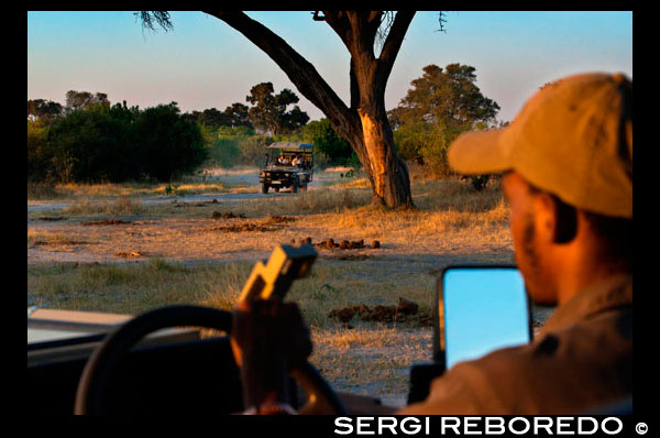 Un dels guies al 4x4 en què es realitzen els safaris al Delta de l'Okavango prop del campament Khwai River Lodge d'Orient Express a Botswana, a l'interior de la Reserva Salvatge de Caça Moremi. Botswana. Encara que només una part del delta, la Reserva de Moremi, és zona protegida, aquest oasi enmig del desert constitueix un dels principals enclavaments del continent de la vida salvatge ia la vegada és la principal atracció del país. No hi ha turista que no viatge a Bostwana i no passi per aquesta joia natural El delta és un cas molt poc usual del que és un delta, ja que a diferència de la immenses majoria aquest no desemboca al mar. En realitat, més que un delta, hauríem d'estar parlant d'un ventall fluvial que es divideix en 4 regions diferents: Delta oriental: aquesta és la zona amb una millor accessibilitat i també és la més econòmica en comparació amb la reserva de Moremi i l'interior del delta. En aquesta zona s'inclouen els pantans compresos entre l'extrem sud de la Reserva de Moremi ia l'anomenada "filat del búfal" que engloba els rius Bor i Santandadibe. La millor manera d'accedir a aquesta zona és a través de Maun a mokoro (piragua tradicional que sol estar construïda amb fusta de banús o de Kigelia africana, encara que últimament predominen les construïdes en fibra de vidre) o bé en 4x4 mitjançant l'acampada. Els refugis i agències de Maun solen organitzar creuers en mokoro per aquesta regió del delta. Delta interior: cobreixen les zones occidentals, nord i sud de Moremi. S'estén des de l'oest de l'illa Chiefs fins el pantà del delta. Aquí és on ens trobarem el paisatge clàssic d'un delta. Allotjar aquí és força car i molts lodges només té accés per via aèria. És una zona molt propensa per passejar en mokoro des de juny a desembre. Pantà de l'Okavango: és una àrea pantanosa del delta que s'estén pel nord-oest fins a la frontera Namíbia. És potser la zona de més fàcil accés per carretera. És assequible ja que no està controlada per luxosos lodges amb el que els pobles confrontants creen els seus propis campaments a tarifes més econòmiques. En aquesta àrea predomina els llits de joncs i les llacunes plenes de papirs. Vedat de Moremi: amb una extensió d'uns 3900 km2, aquesta és l'única zona protegida del delta i ocupa un terç de la seva extensió total al nord-oest del delta. L'hàbitat que engloba és molt divers i engloba l'illa Chiefs així com la llengua de Moremi al nord-est de la reserva; podem trobar deserts, boscos de mopane, llacunes, depressions. Segurament es tracti de la zona més popular i visitada del delta entre altres motius perquè l'abundància de fauna en aquesta reserva és descomunal podent-se observar bones poblacions de lleons, elefants i búfals a més de moltes altres espècies incloent els amenaçats licaons. Es requereix el pagament d'una entrada diària a la reserva. És accessible tant en 4x4 com amb vols xàrter.